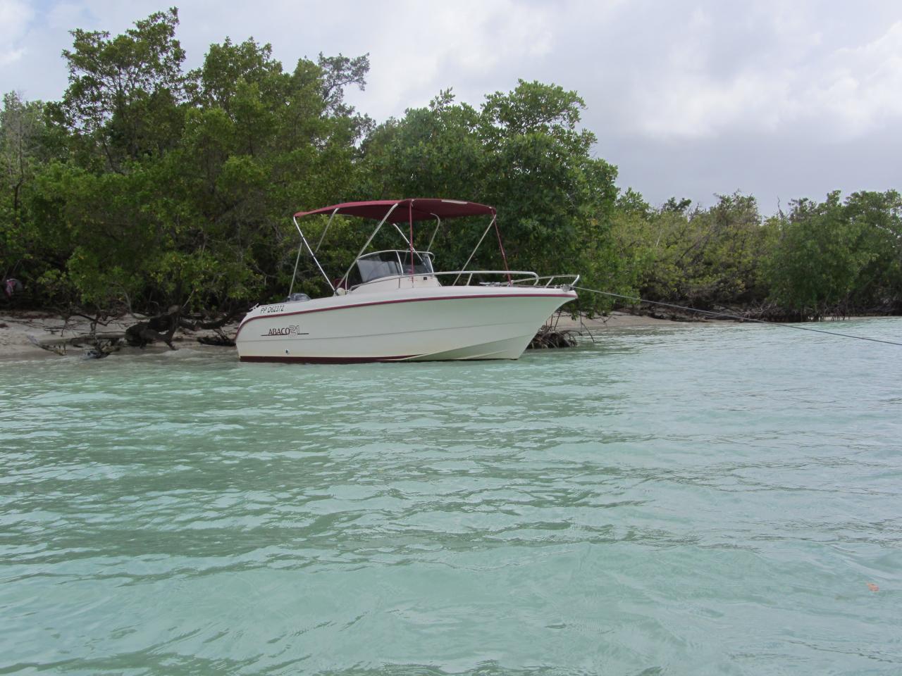fajou plage et mangrove