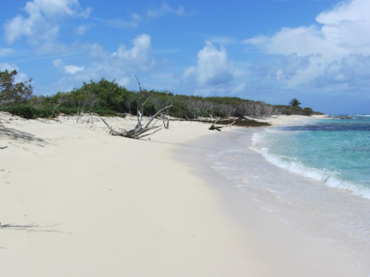 plage deserte à Petite Terre